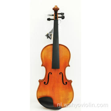 Ebbenhout gemonteerd vast hout viool